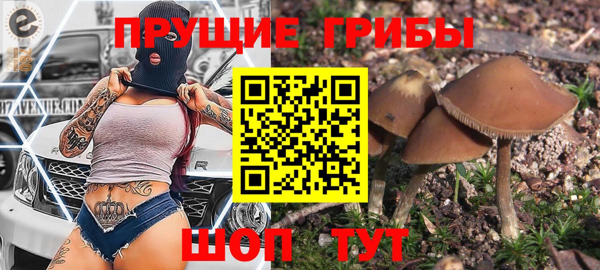 Рузаевка  Галлюциногенные грибы прущие грибы  Псилоцибиновые грибы GOLDEN TEACHER  Вход с VPN 
