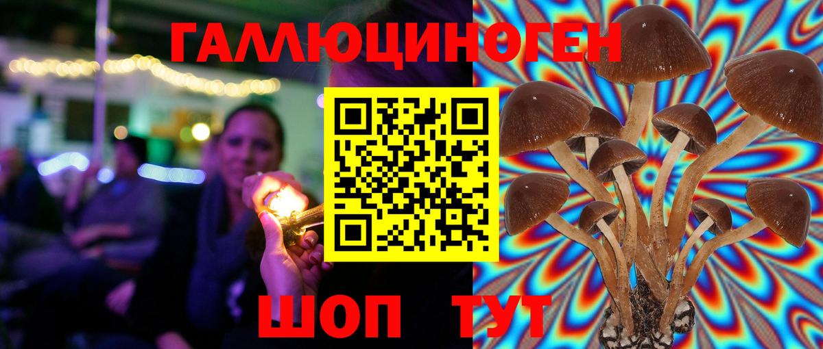 Псилоцибиновые грибы GOLDEN TEACHER Рузаевка